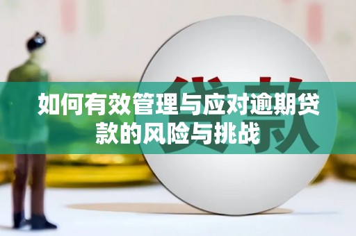 凤林如何有效管理与应对逾期贷款的风险与挑战