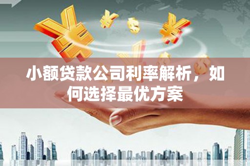 凤林小额贷款公司利率解析，如何选择最优方案