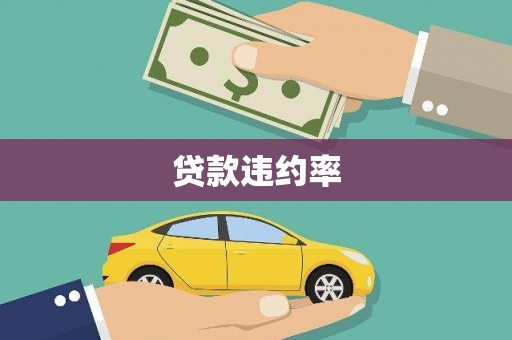 凤林贷款违约率