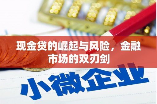 凤林现金贷的崛起与风险，金融市场的双刃剑