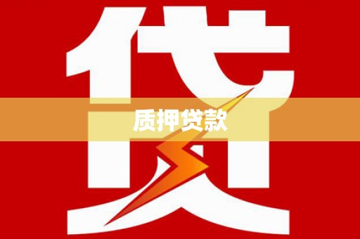 凤林质押贷款