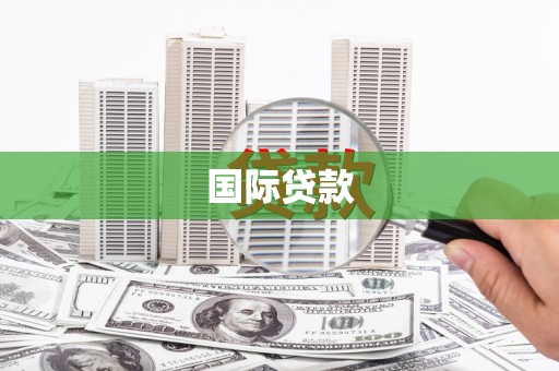 凤林国际贷款