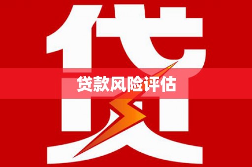 凤林贷款风险评估