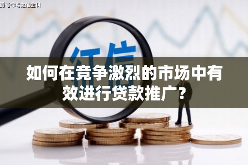 凤林如何在竞争激烈的市场中有效进行贷款推广？