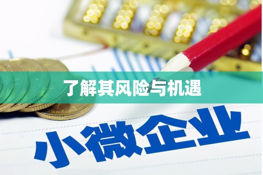 凤林了解其风险与机遇