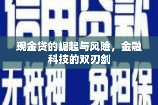 凤林现金贷的崛起与风险，金融科技的双刃剑