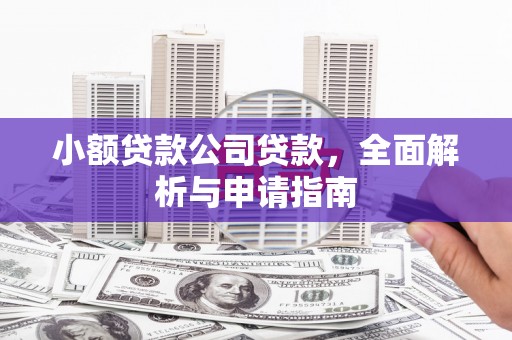 凤林小额贷款公司贷款，全面解析与申请指南