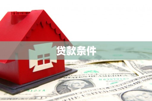 凤林贷款条件