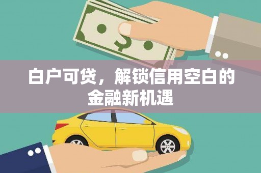 凤林白户可贷，解锁信用空白的金融新机遇