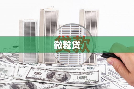 凤林微粒贷