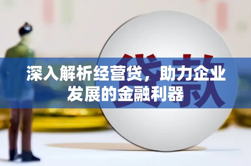 凤林深入解析经营贷，助力企业发展的金融利器