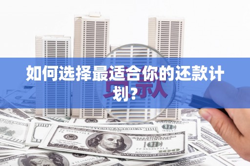凤林如何选择最适合你的还款计划？