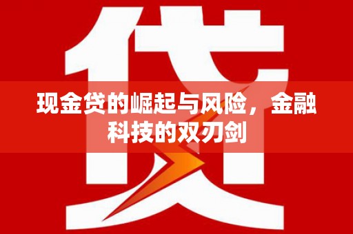 凤林现金贷的崛起与风险，金融科技的双刃剑