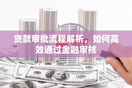 凤林贷款审批流程解析，如何高效通过金融审核