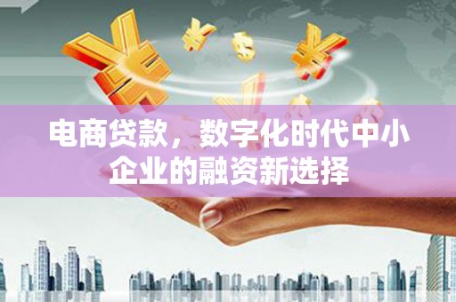 凤林电商贷款，数字化时代中小企业的融资新选择