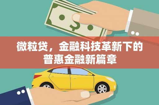 凤林微粒贷，金融科技革新下的普惠金融新篇章