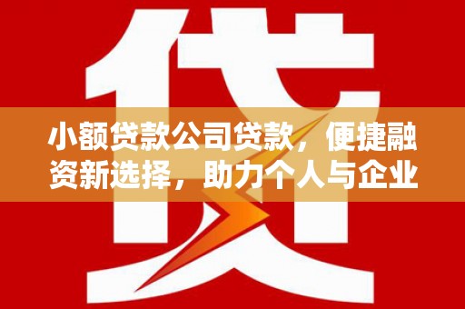 凤林小额贷款公司贷款，便捷融资新选择，助力个人与企业成长