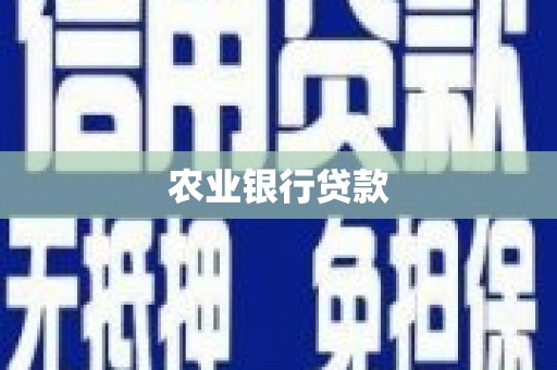 凤林农业银行贷款