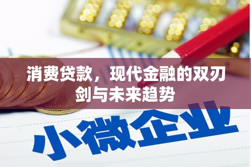 凤林消费贷款，现代金融的双刃剑与未来趋势