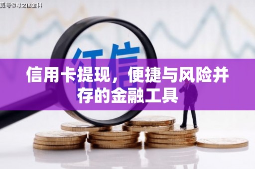 凤林信用卡提现，便捷与风险并存的金融工具
