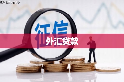 凤林外汇贷款