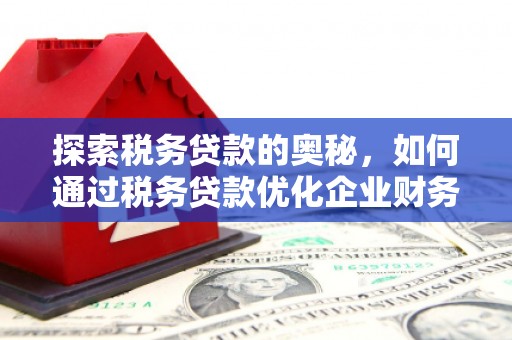 凤林探索税务贷款的奥秘，如何通过税务贷款优化企业财务