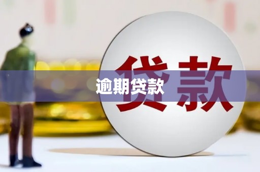 凤林逾期贷款