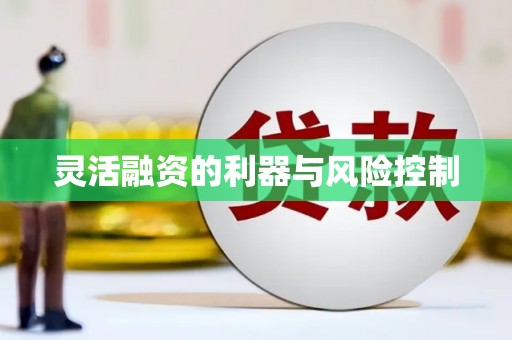 凤林灵活融资的利器与风险控制