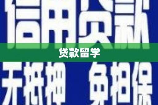 凤林贷款留学