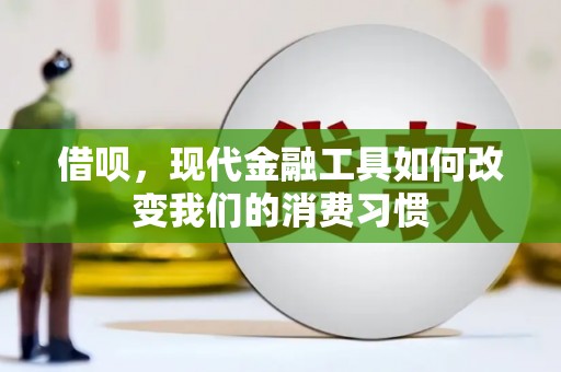 凤林借呗，现代金融工具如何改变我们的消费习惯