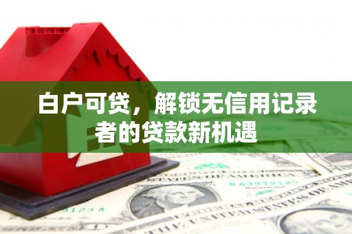 凤林白户可贷，解锁无信用记录者的贷款新机遇