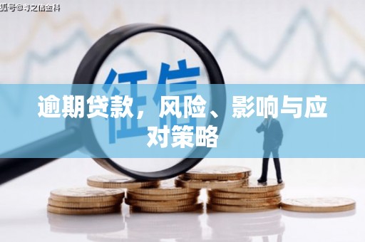 凤林逾期贷款，风险、影响与应对策略