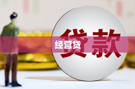 凤林经营贷