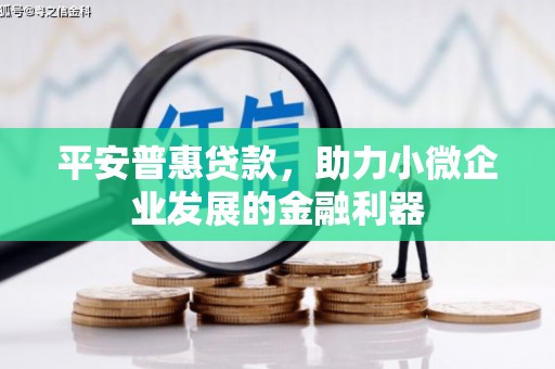凤林平安普惠贷款，助力小微企业发展的金融利器