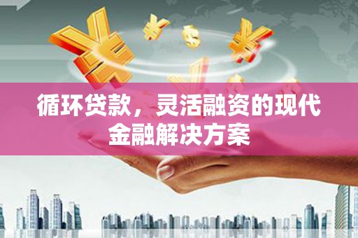 凤林循环贷款，灵活融资的现代金融解决方案