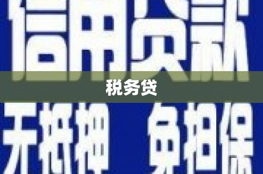 凤林税务贷