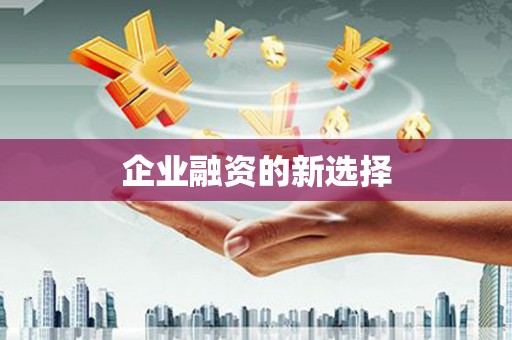 凤林企业融资的新选择