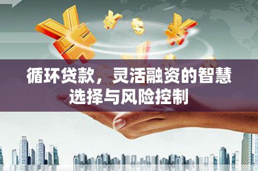 凤林循环贷款，灵活融资的智慧选择与风险控制