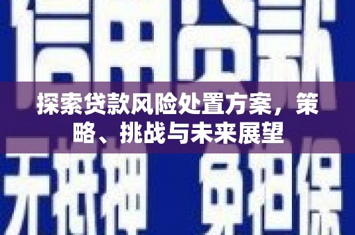 凤林探索贷款风险处置方案，策略、挑战与未来展望