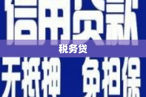 凤林税务贷