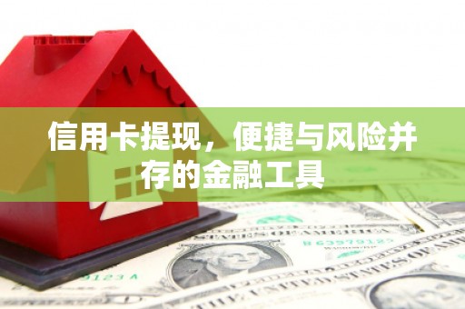 凤林信用卡提现，便捷与风险并存的金融工具