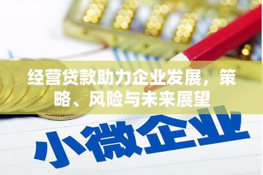 凤林经营贷款助力企业发展，策略、风险与未来展望