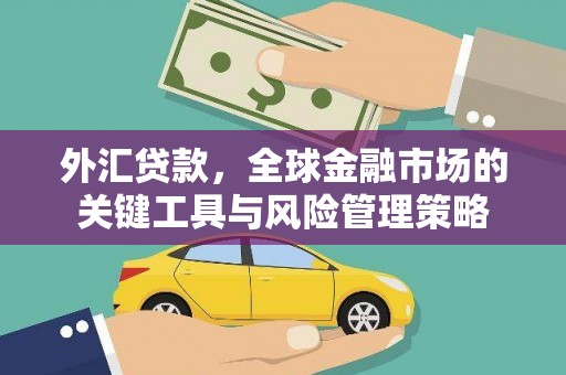 凤林外汇贷款，全球金融市场的关键工具与风险管理策略