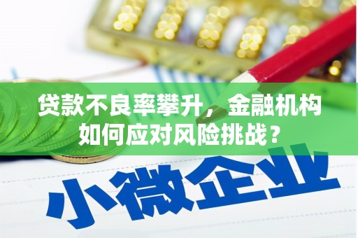 凤林贷款不良率攀升，金融机构如何应对风险挑战？