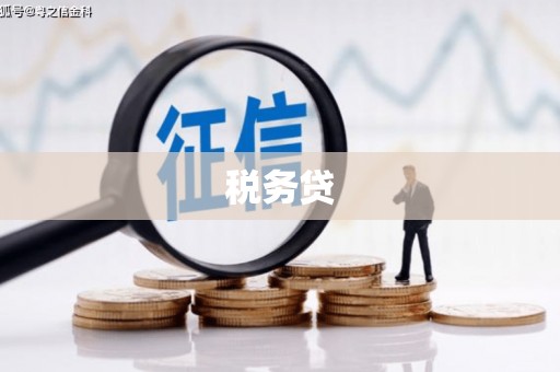 凤林税务贷