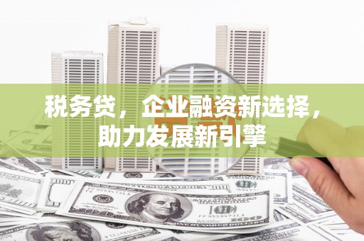 凤林税务贷，企业融资新选择，助力发展新引擎
