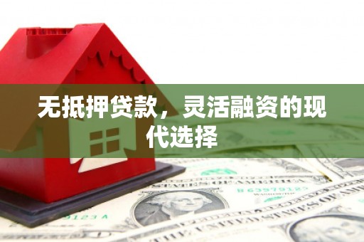 凤林无抵押贷款，灵活融资的现代选择