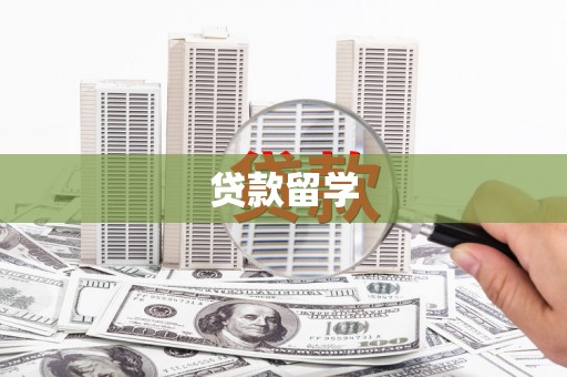 凤林贷款留学