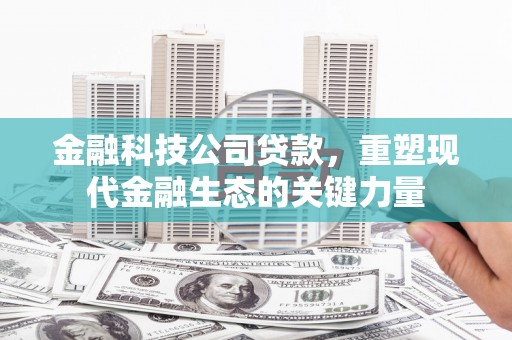 凤林金融科技公司贷款，重塑现代金融生态的关键力量