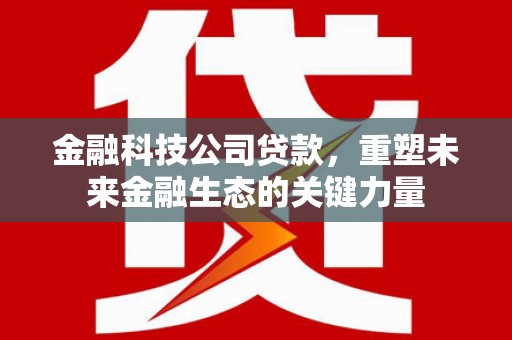 凤林金融科技公司贷款，重塑未来金融生态的关键力量
